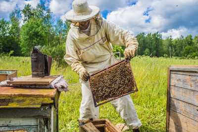 beekeeper_400