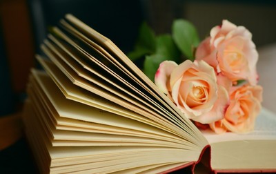 book_book_pages_read_roses_romantic_literature_pages_paper-787127.jpgd_400