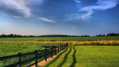 fence-on-a-field-714_400